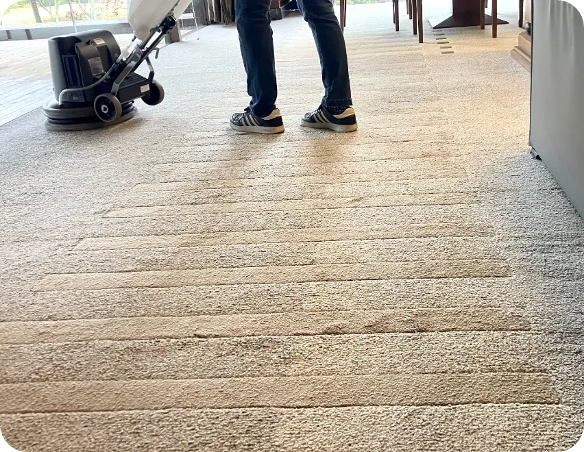 カーペットクリーニングを行っている様子